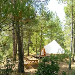 Campo de lujo Forest Days 